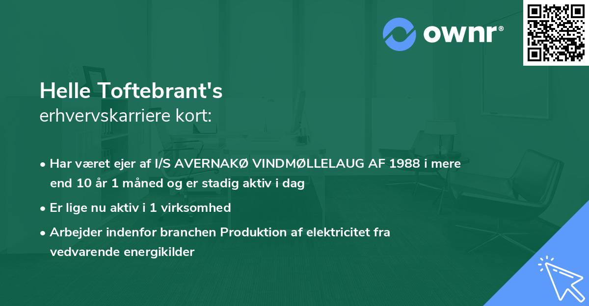 Helle Toftebrant's erhvervskarriere kort