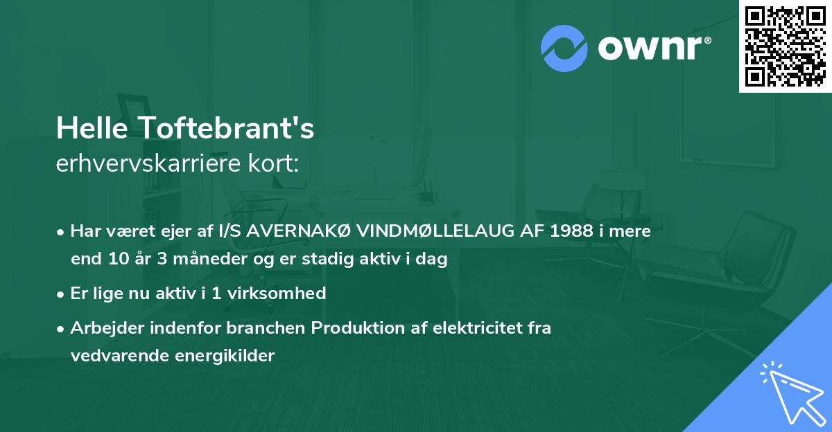 Helle Toftebrant's erhvervskarriere kort