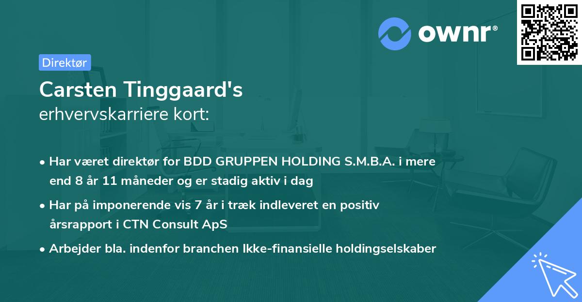 Carsten Tinggaard's erhvervskarriere kort