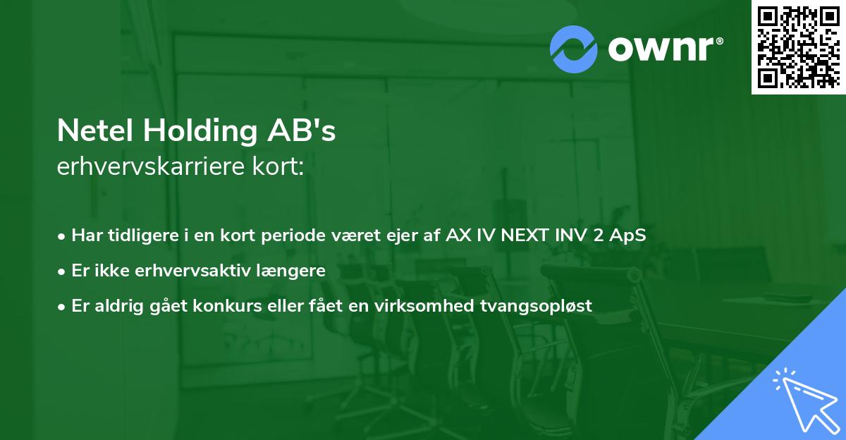Netel Holding AB's erhvervskarriere kort