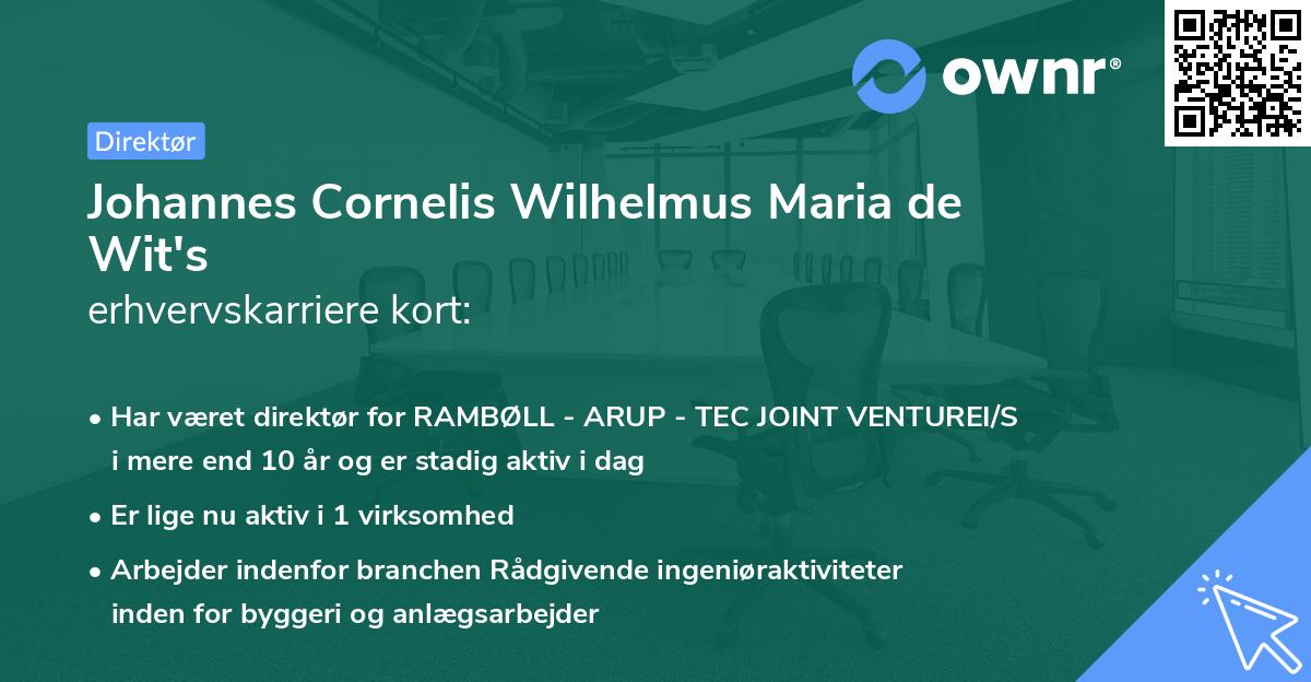 Johannes Cornelis Wilhelmus Maria de Wit's erhvervskarriere kort
