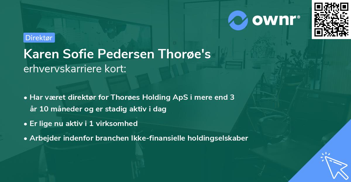 Karen Sofie Pedersen Thorøe's erhvervskarriere kort