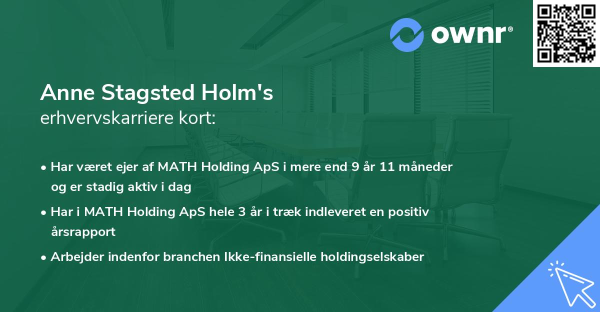 Anne Stagsted Holm's erhvervskarriere kort