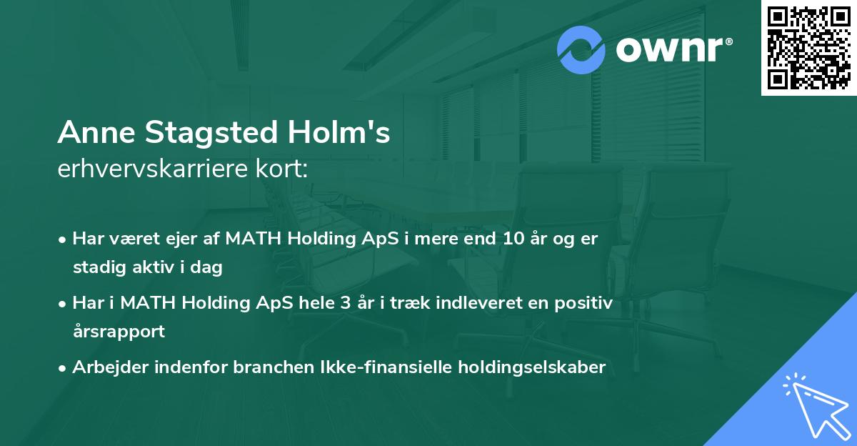 Anne Stagsted Holm's erhvervskarriere kort