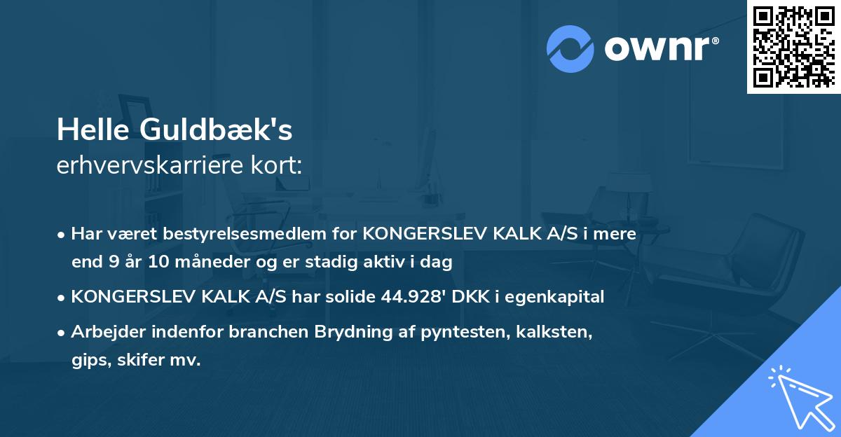 Helle Guldbæk's erhvervskarriere kort