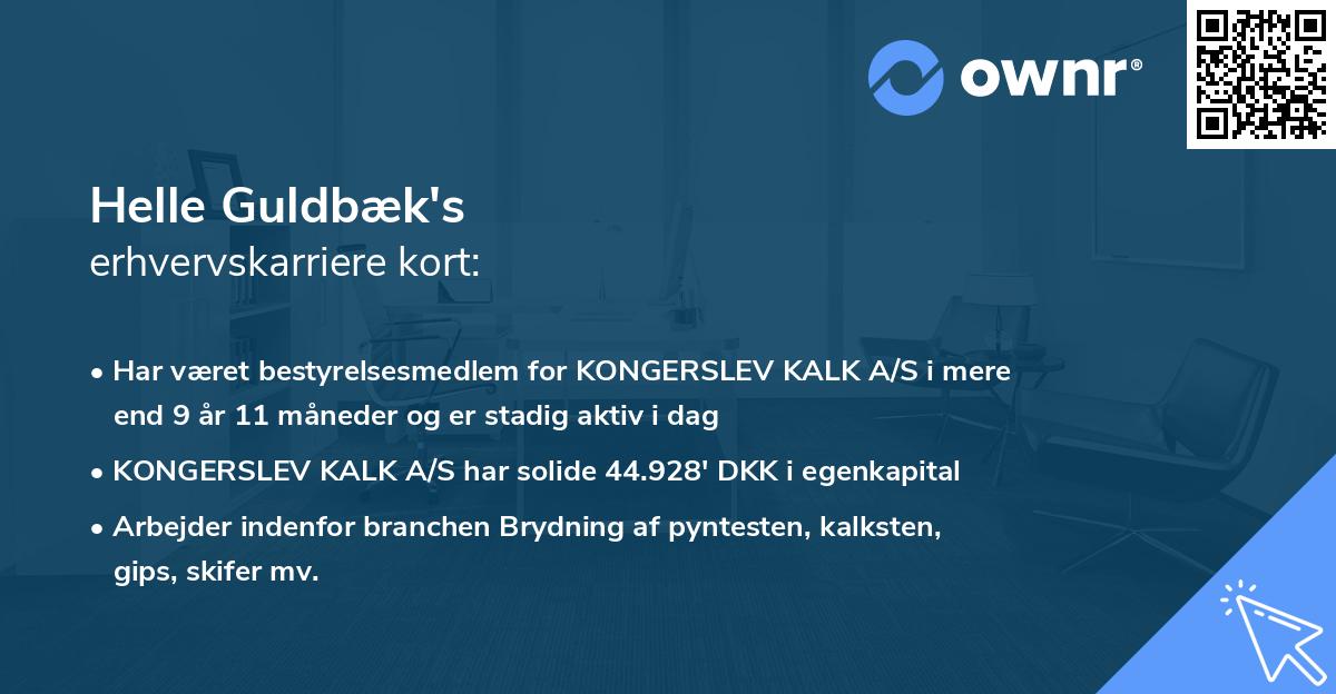 Helle Guldbæk's erhvervskarriere kort
