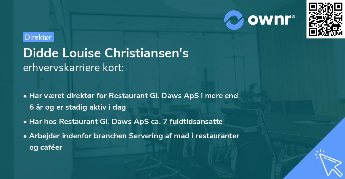 Didde Louise Christiansen's erhvervskarriere kort