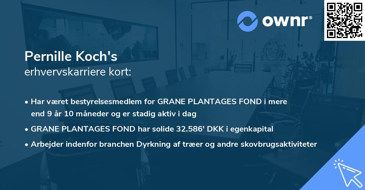 Pernille Koch's erhvervskarriere kort