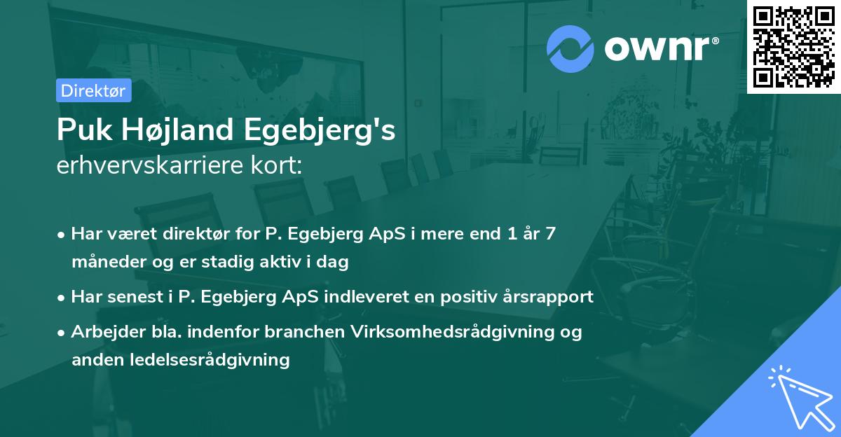 Puk Højland Egebjerg's erhvervskarriere kort