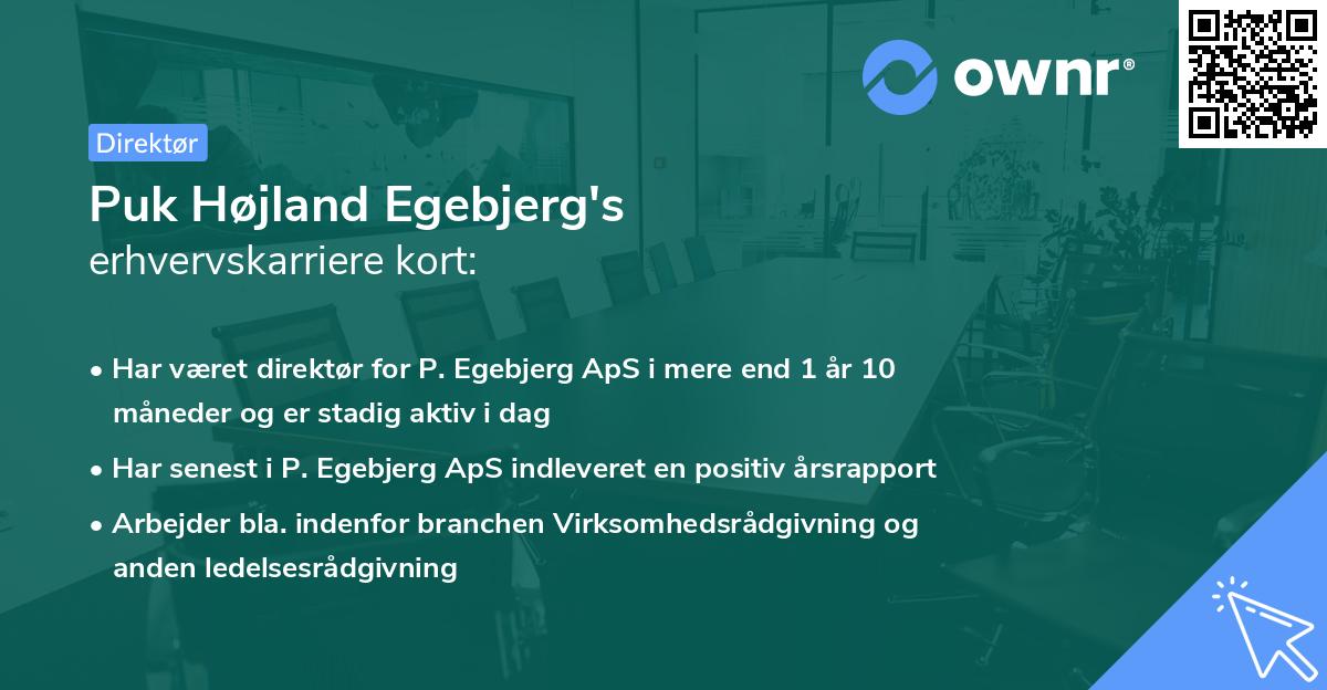 Puk Højland Egebjerg's erhvervskarriere kort