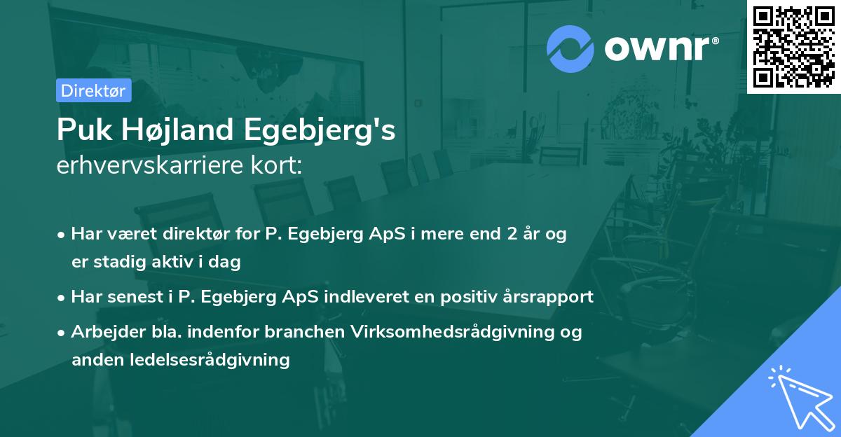 Puk Højland Egebjerg's erhvervskarriere kort