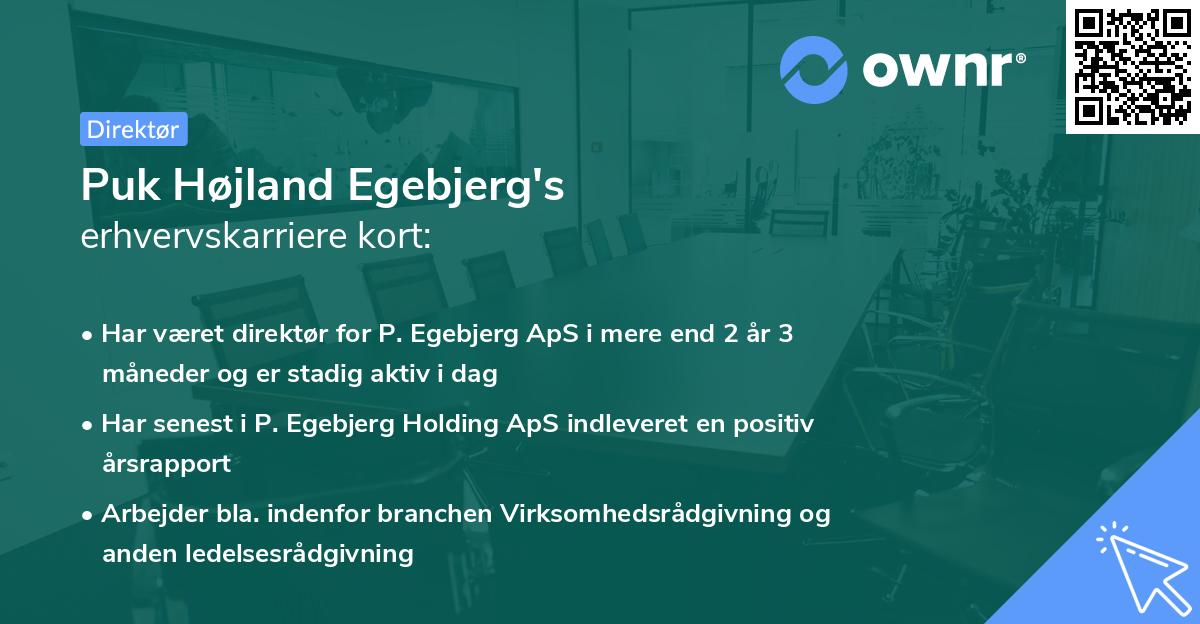 Puk Højland Egebjerg's erhvervskarriere kort