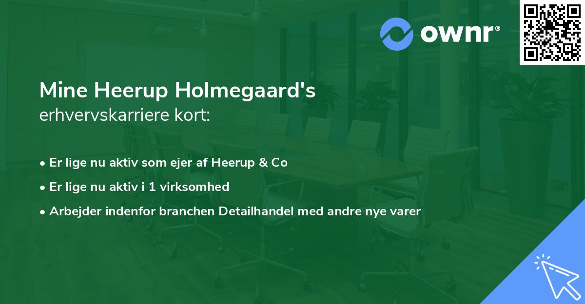 Mine Heerup Holmegaard's erhvervskarriere kort