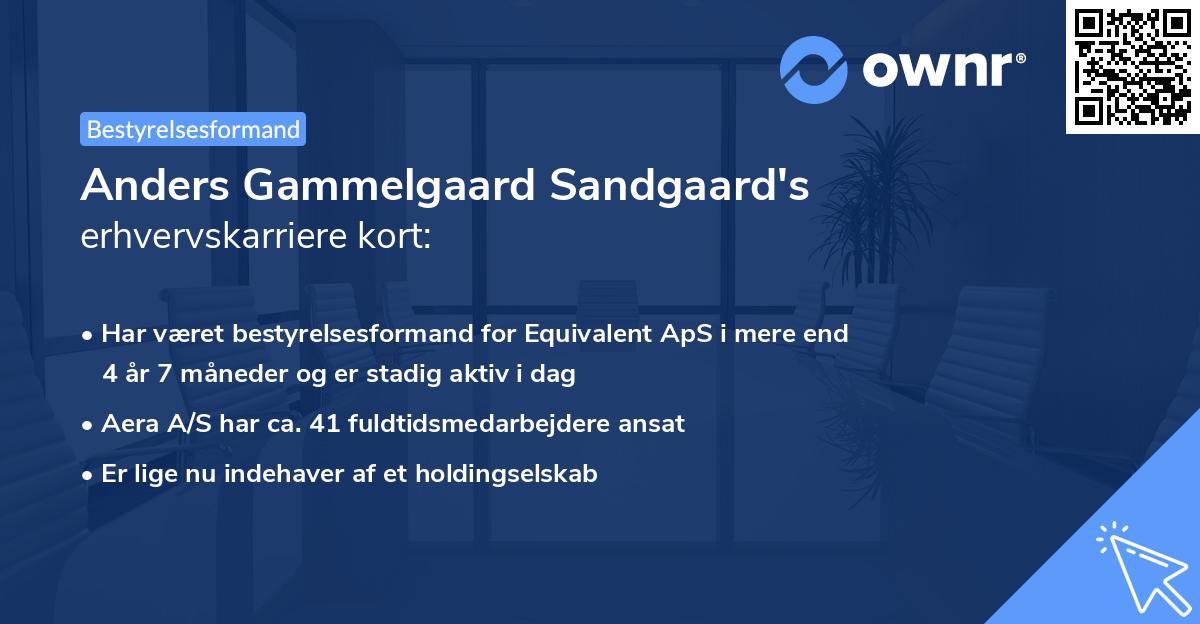 Anders Gammelgaard Sandgaard's erhvervskarriere kort