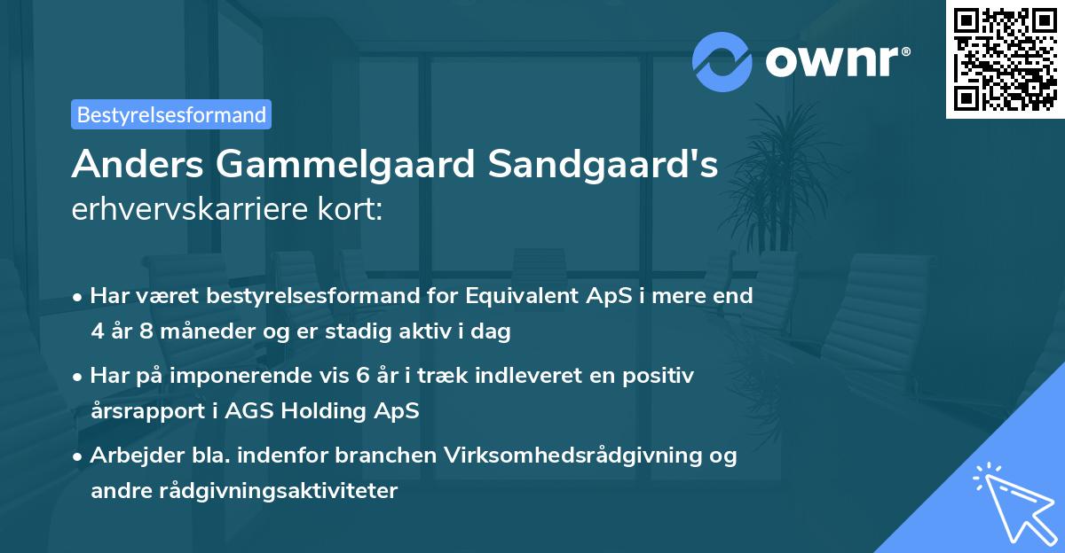 Anders Gammelgaard Sandgaard's erhvervskarriere kort