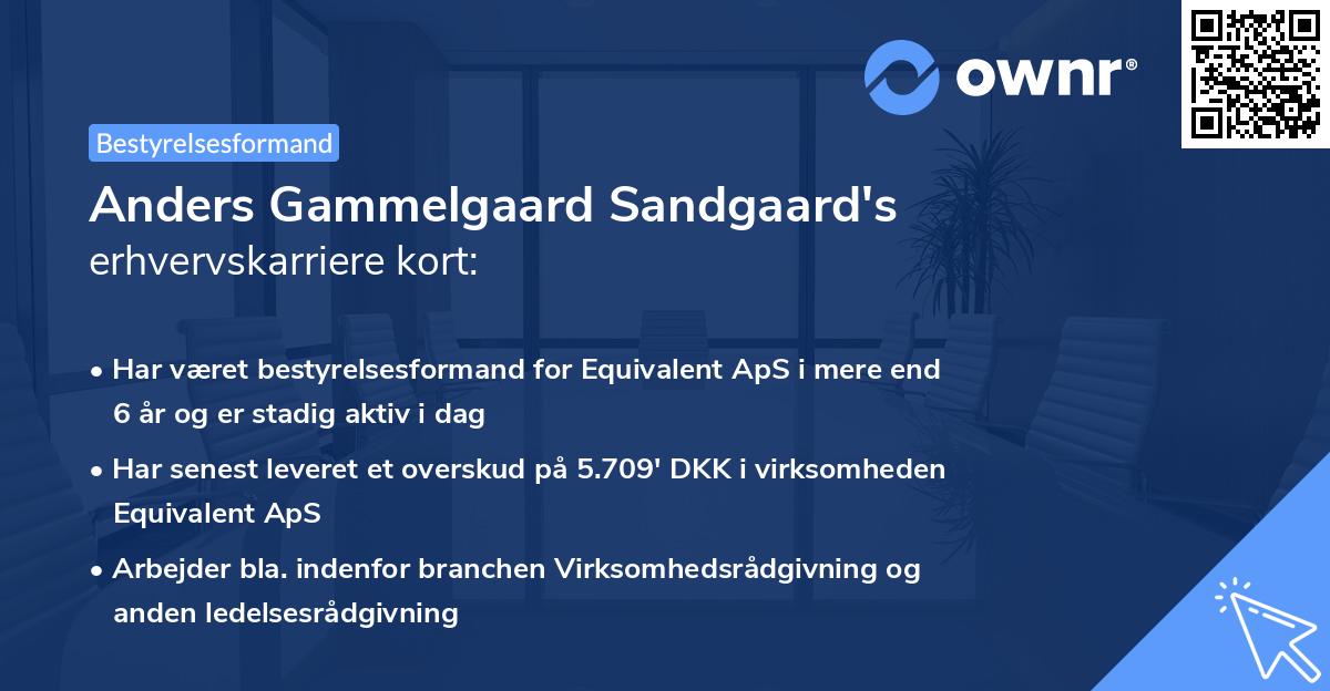 Anders Gammelgaard Sandgaard's erhvervskarriere kort