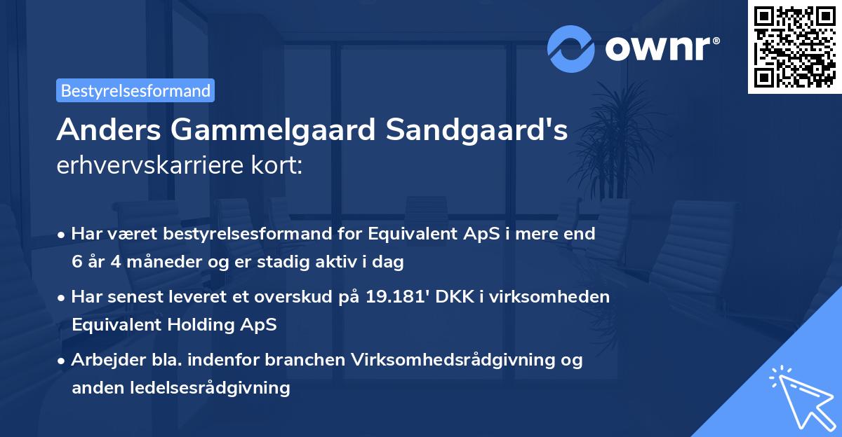 Anders Gammelgaard Sandgaard's erhvervskarriere kort