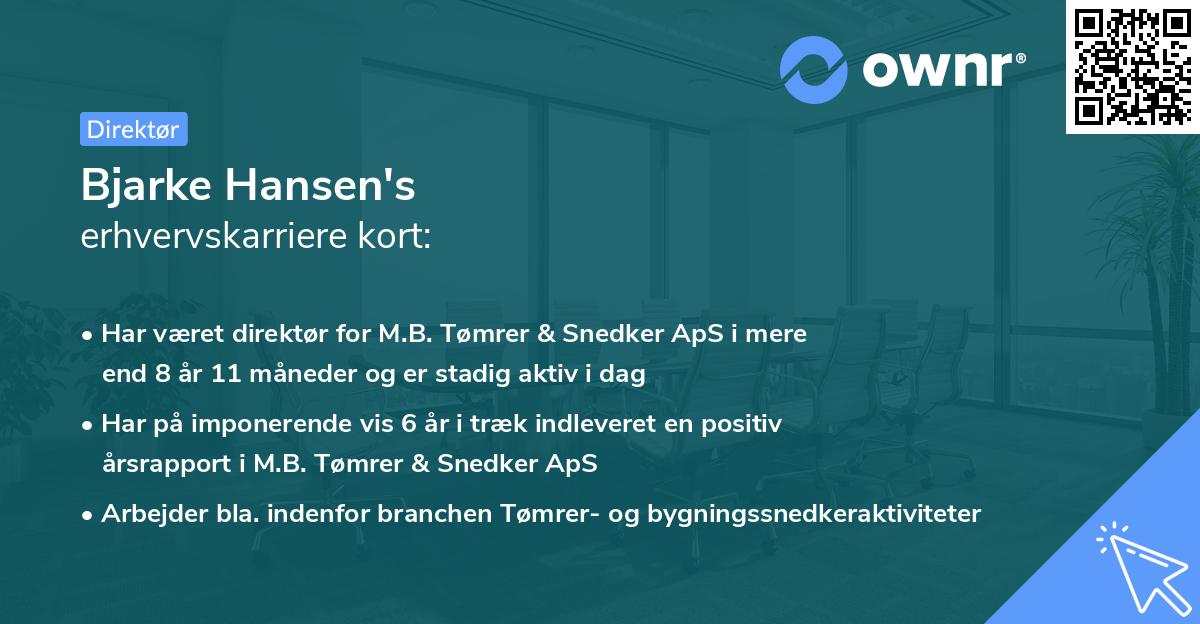 Bjarke Hansen's erhvervskarriere kort