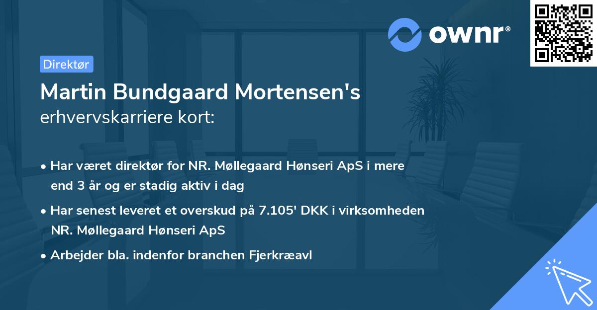 Martin Bundgaard Mortensen's erhvervskarriere kort