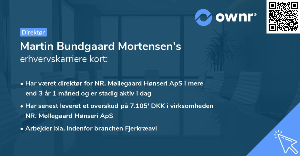Martin Bundgaard Mortensen's erhvervskarriere kort