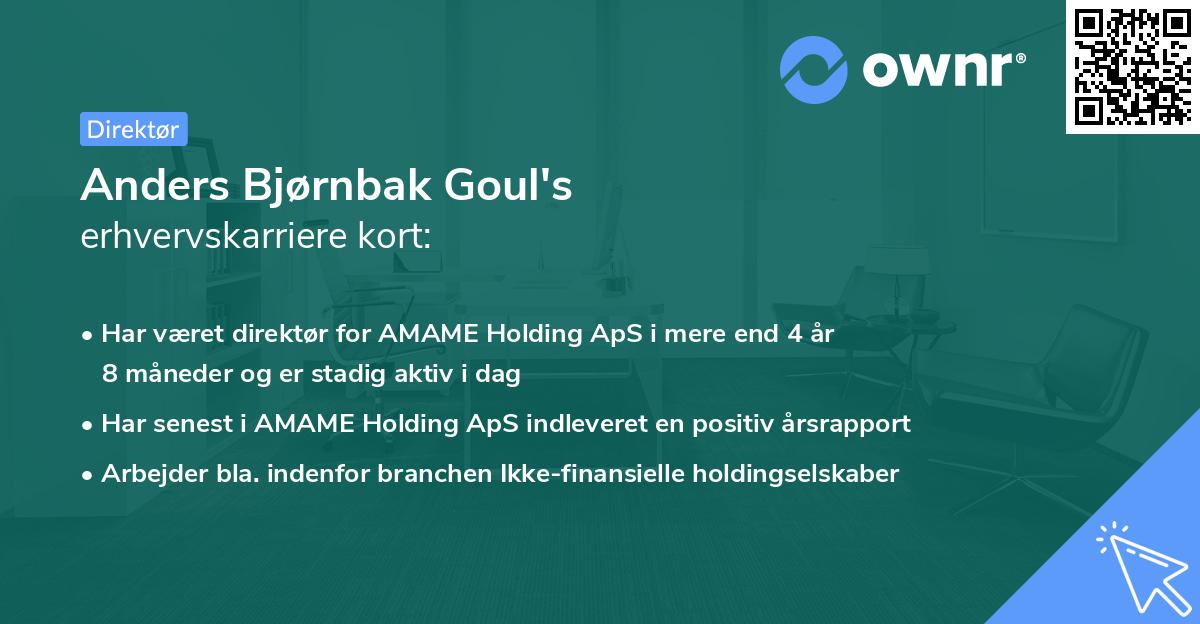 Anders Bjørnbak Goul's erhvervskarriere kort