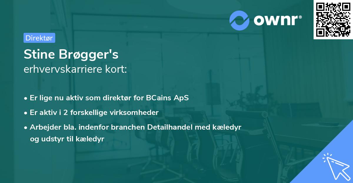Stine Brøgger's erhvervskarriere kort
