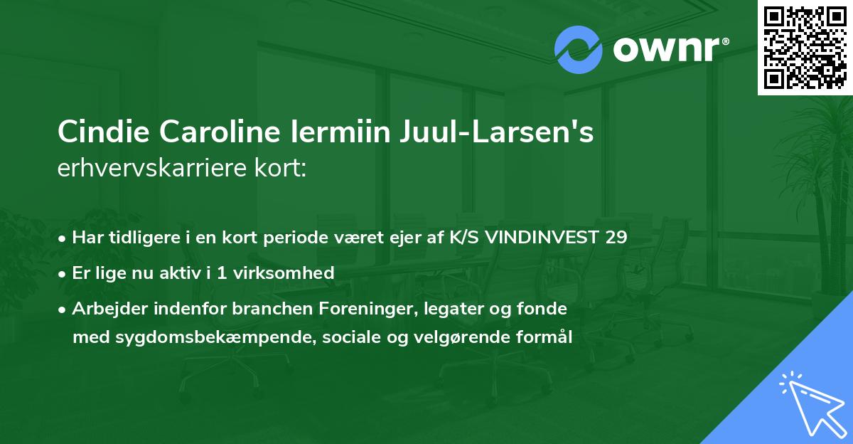 Cindie Caroline Iermiin Juul-Larsen's erhvervskarriere kort