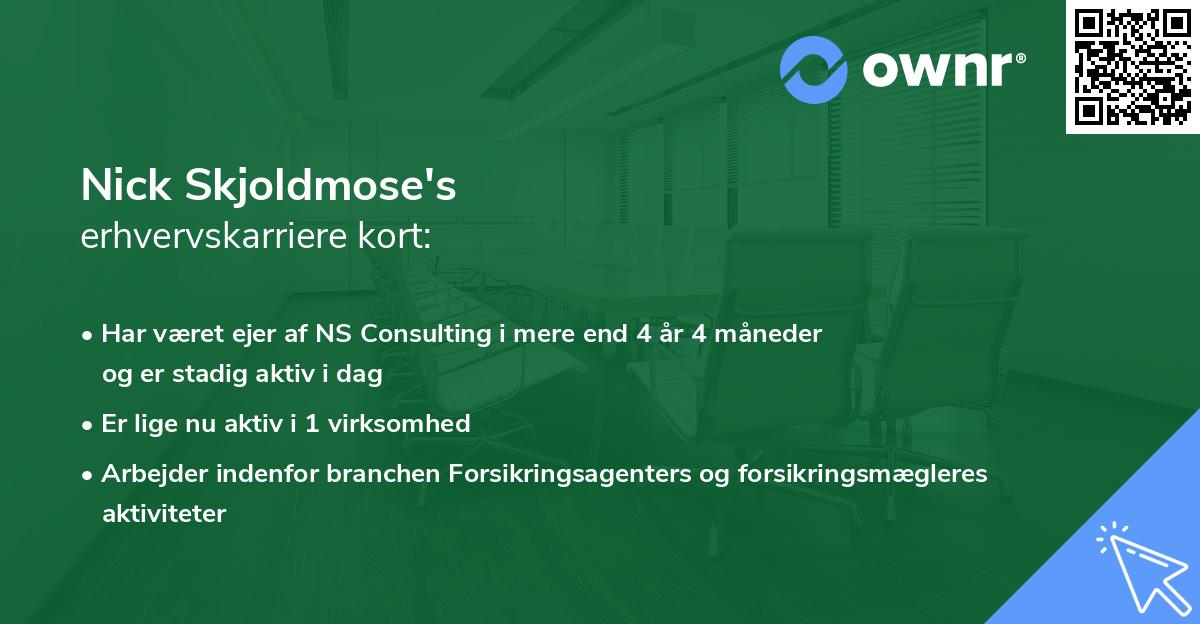 Nick Skjoldmose's erhvervskarriere kort