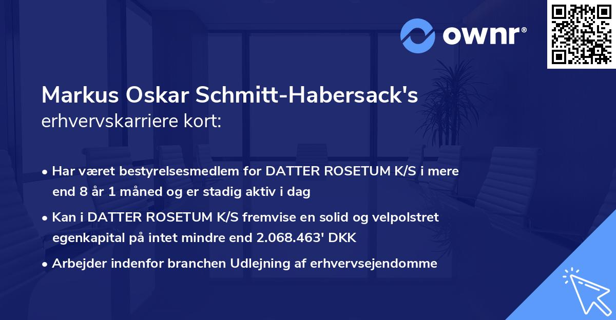 Markus Oskar Schmitt-Habersack's erhvervskarriere kort