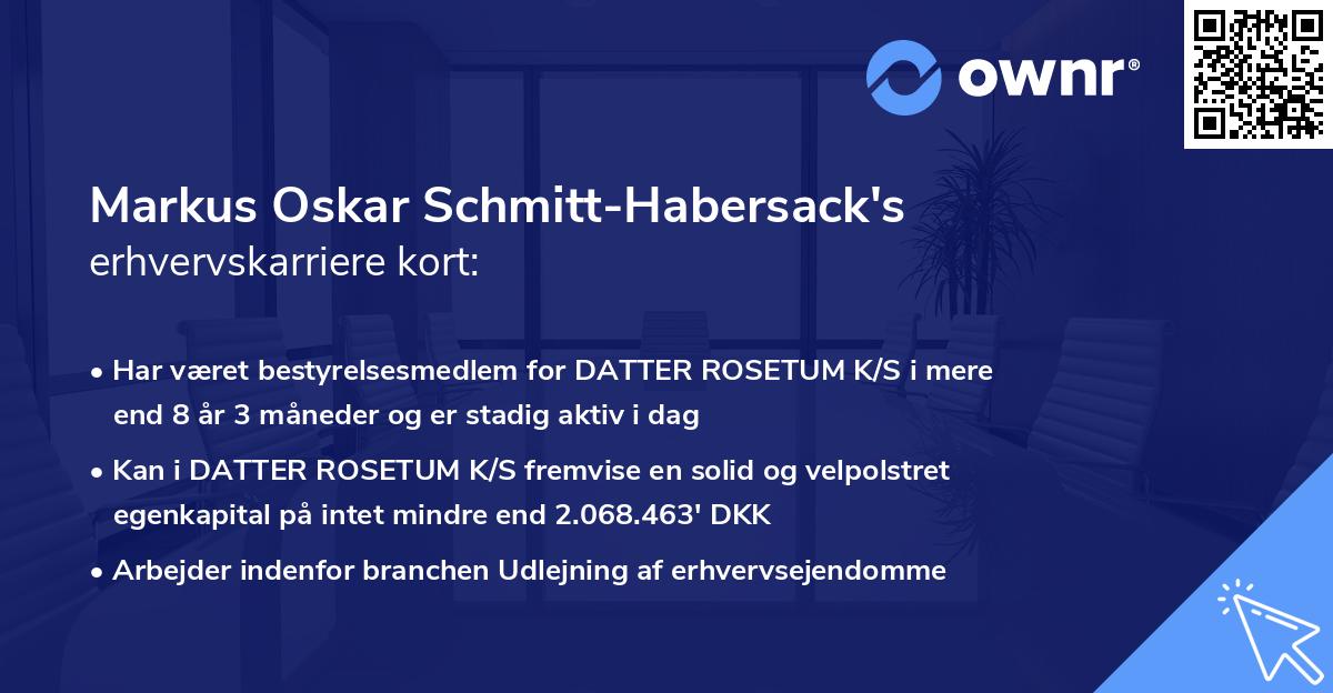 Markus Oskar Schmitt-Habersack's erhvervskarriere kort