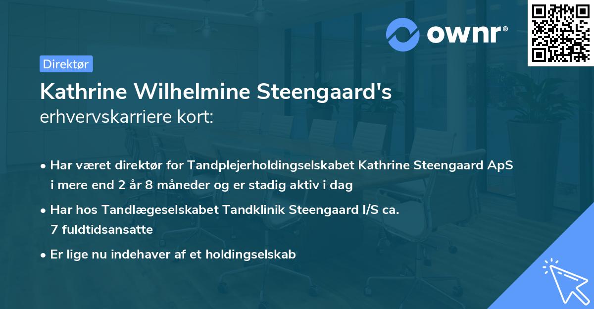 Kathrine Wilhelmine Steengaard's erhvervskarriere kort