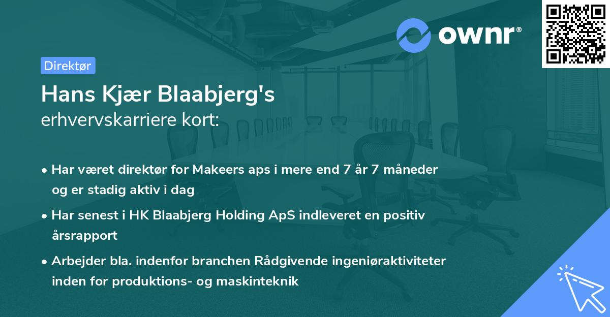 Hans Kjær Blaabjerg's erhvervskarriere kort