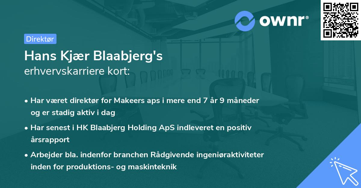 Hans Kjær Blaabjerg's erhvervskarriere kort