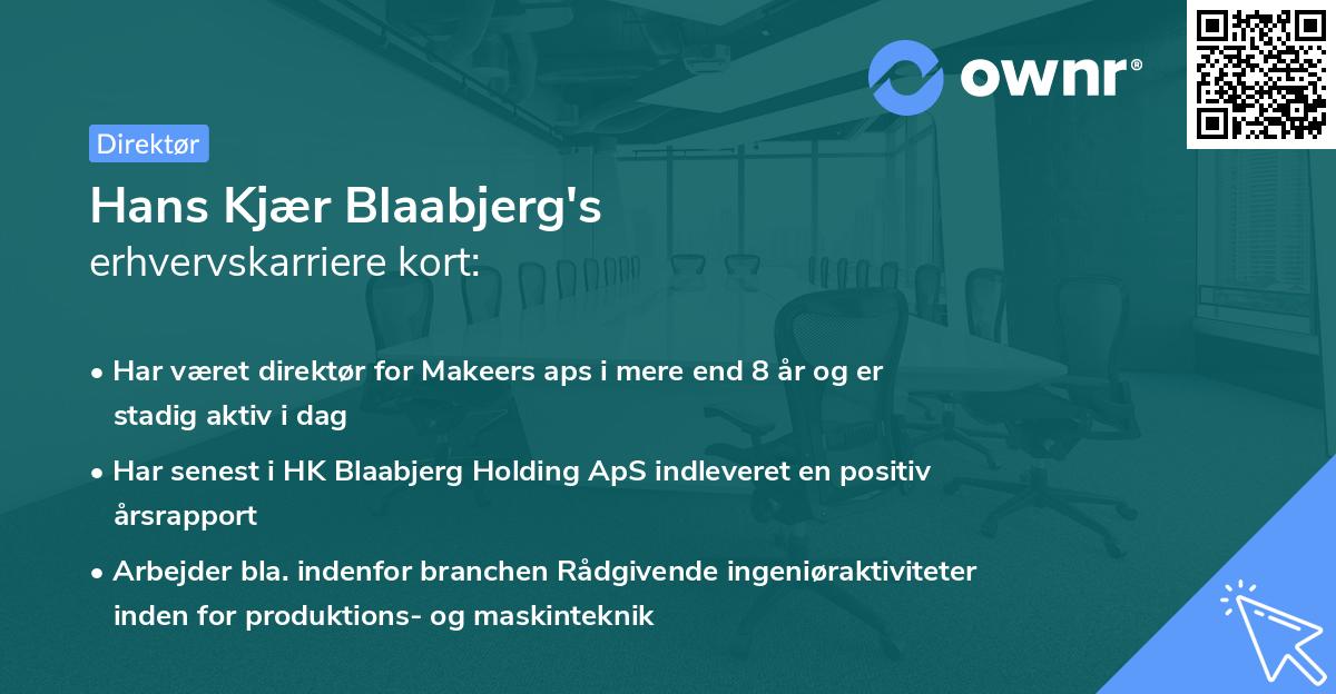 Hans Kjær Blaabjerg's erhvervskarriere kort