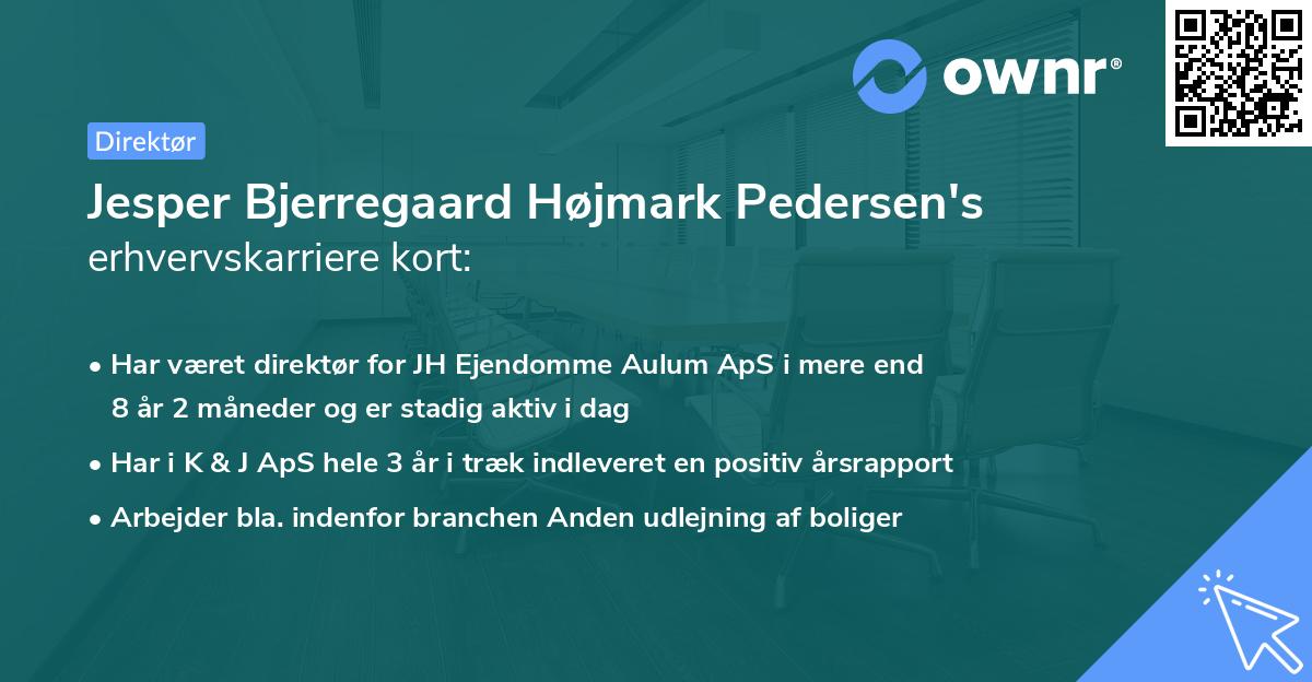 Jesper Bjerregaard Højmark Pedersen's erhvervskarriere kort
