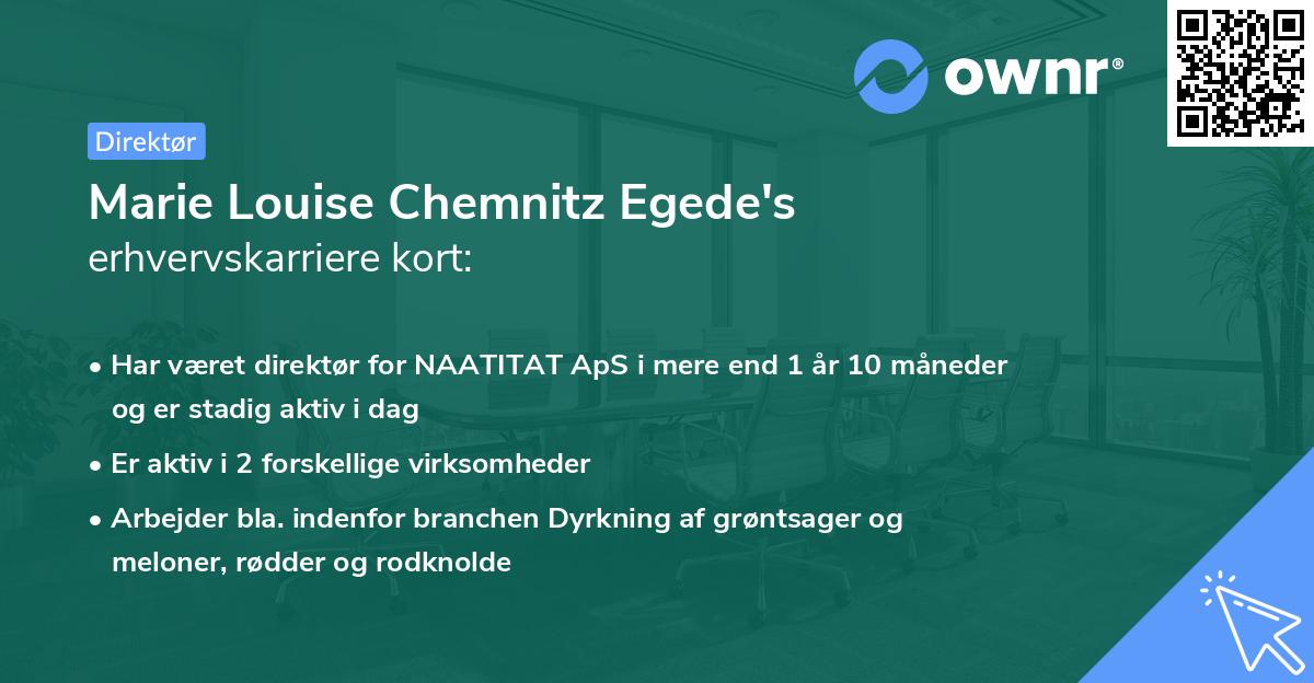 Marie Louise Chemnitz Egede's erhvervskarriere kort