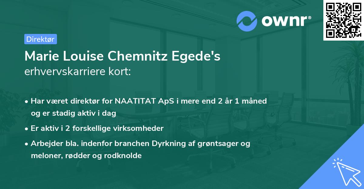 Marie Louise Chemnitz Egede's erhvervskarriere kort