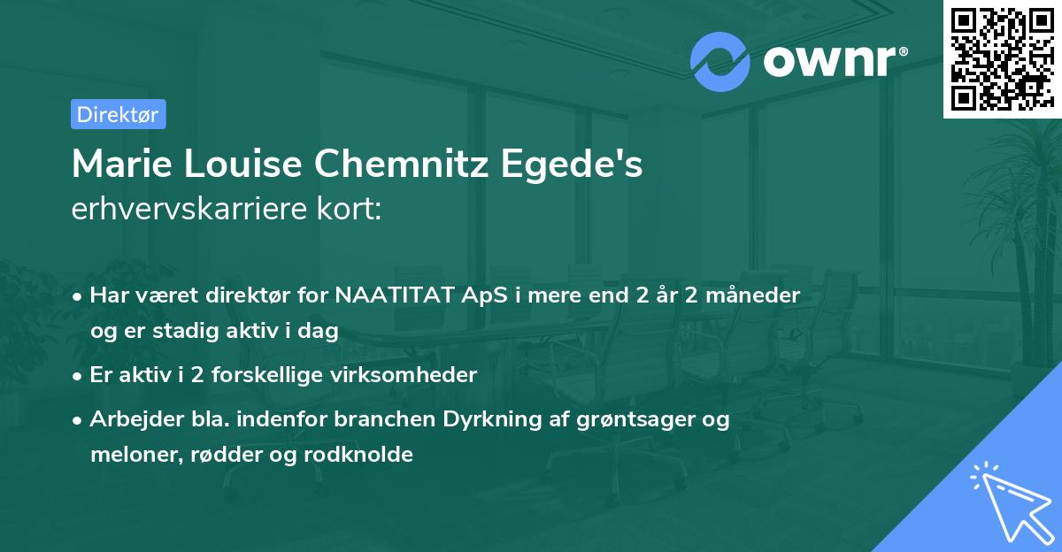 Marie Louise Chemnitz Egede's erhvervskarriere kort