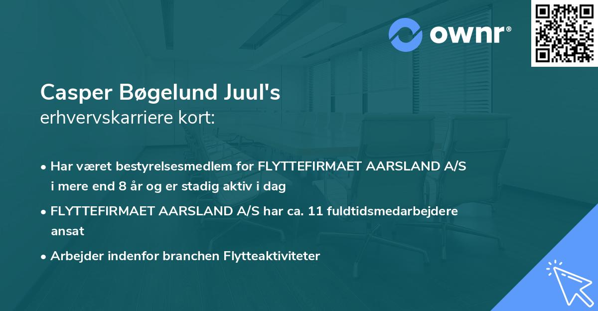 Casper Bøgelund Juul's erhvervskarriere kort