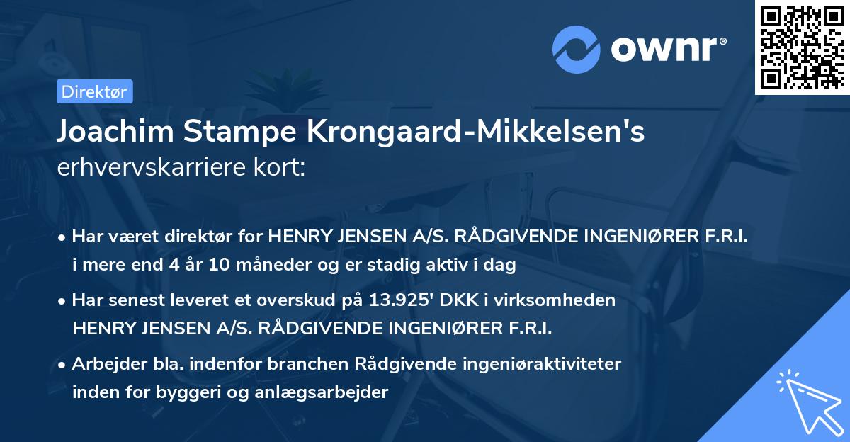 Joachim Stampe Krongaard-Mikkelsen's erhvervskarriere kort