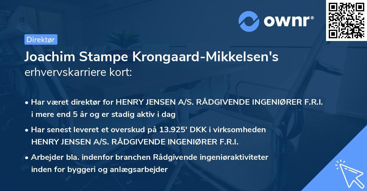 Joachim Stampe Krongaard-Mikkelsen's erhvervskarriere kort
