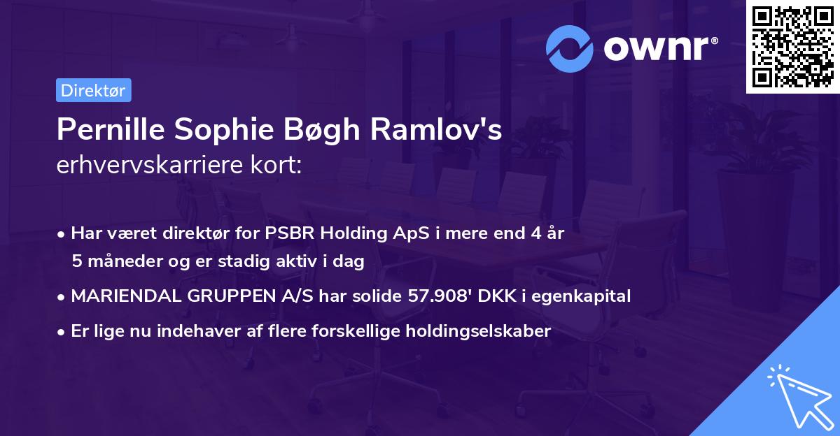 Pernille Sophie Bøgh Ramlov's erhvervskarriere kort