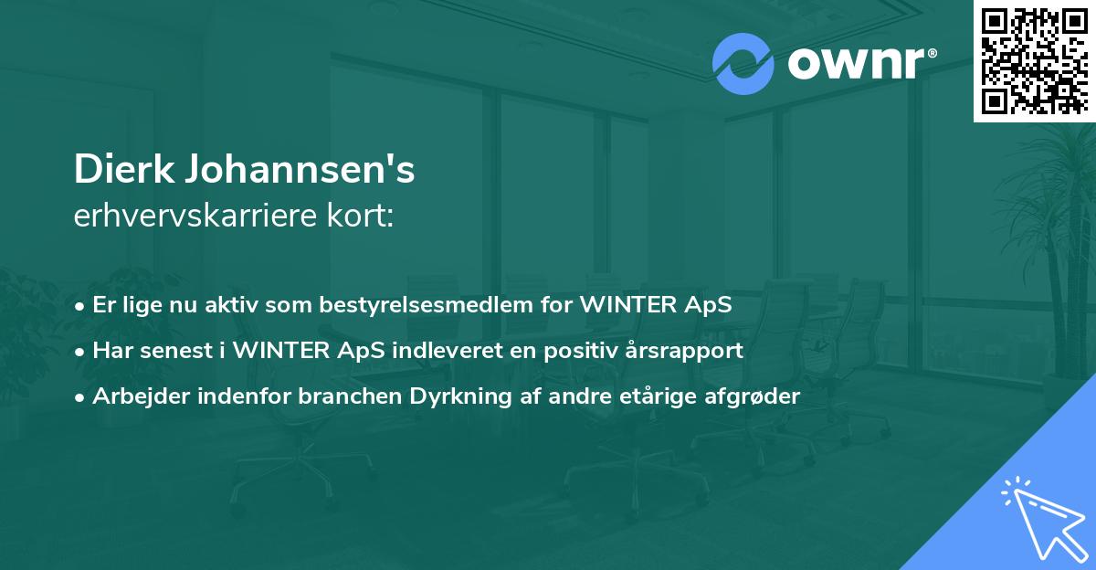 Dierk Johannsen's erhvervskarriere kort