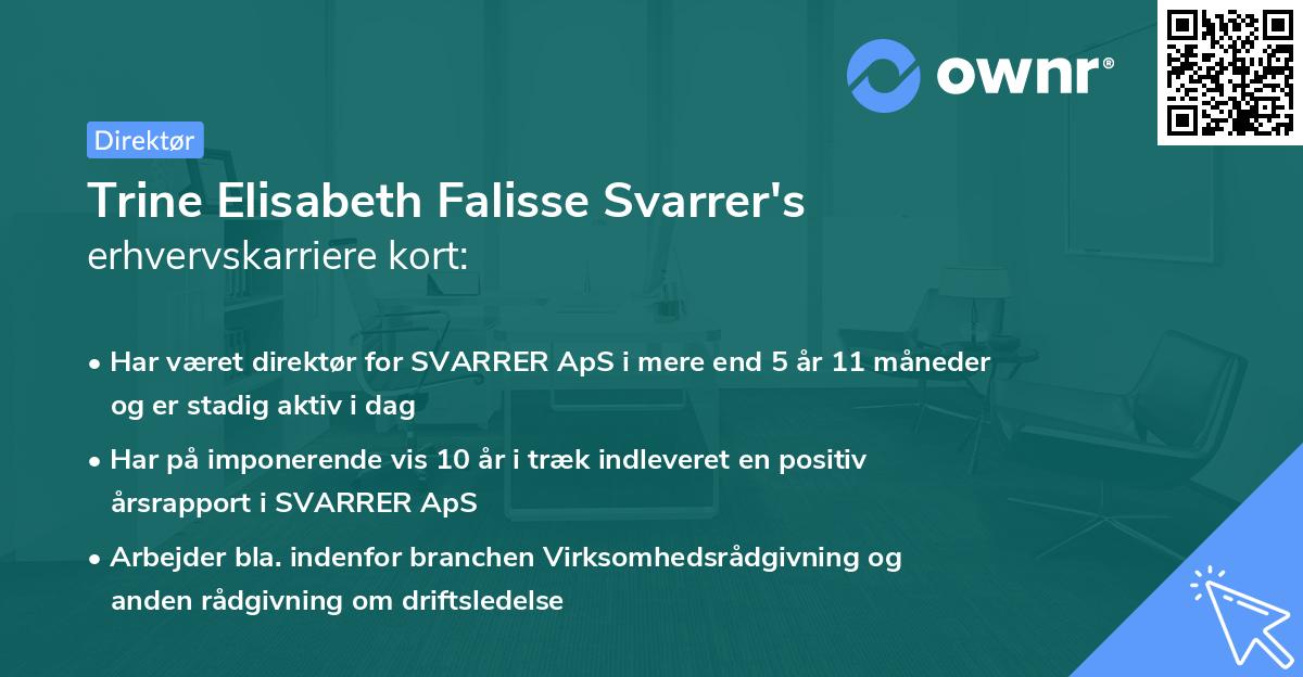 Trine Elisabeth Falisse Svarrer's erhvervskarriere kort
