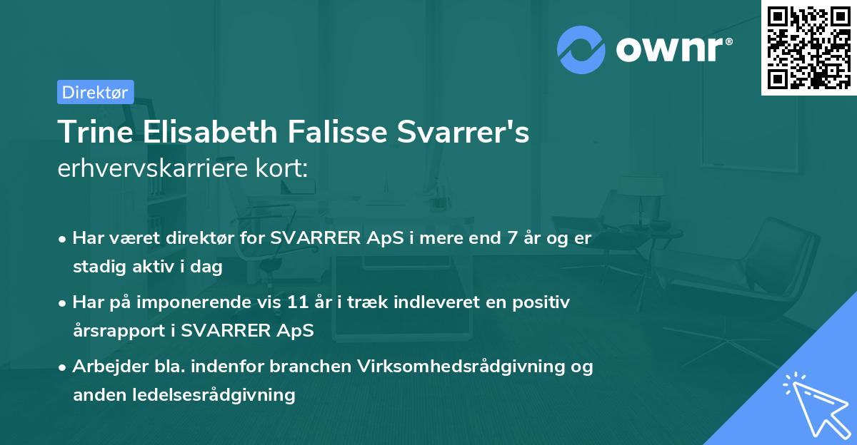 Trine Elisabeth Falisse Svarrer's erhvervskarriere kort