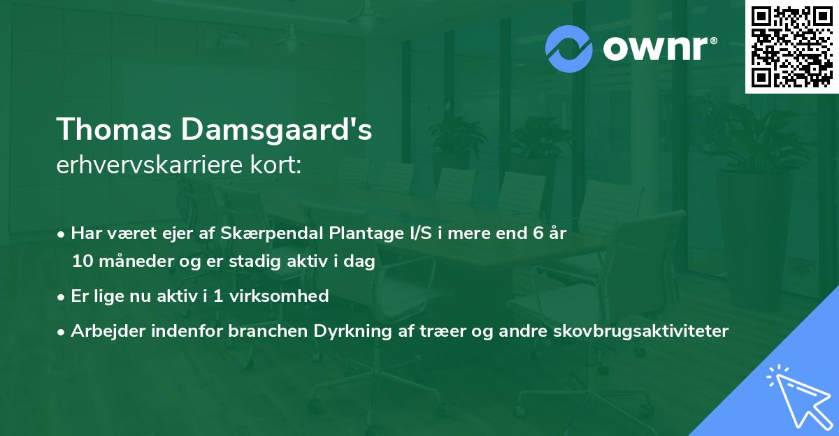Thomas Damsgaard's erhvervskarriere kort
