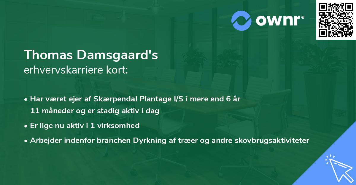 Thomas Damsgaard's erhvervskarriere kort