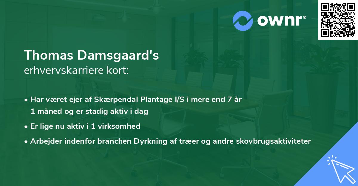 Thomas Damsgaard's erhvervskarriere kort