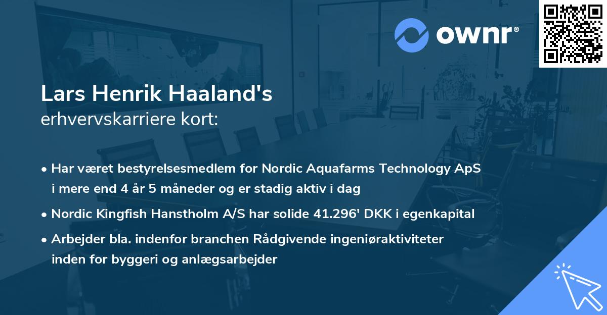 Lars Henrik Haaland's erhvervskarriere kort