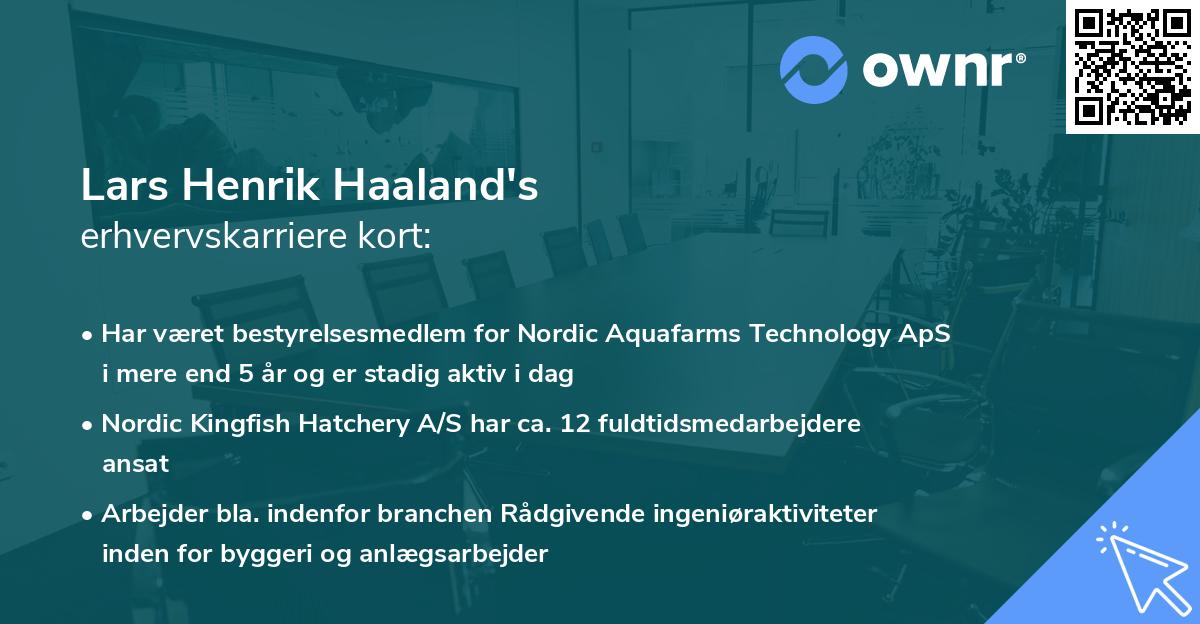 Lars Henrik Haaland's erhvervskarriere kort